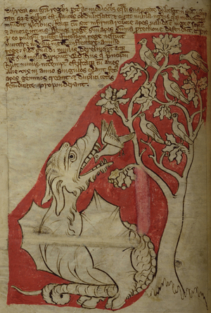 CCA-LitMs/D/10 fol. 23v The Perindens Tree, from Bestiary (imperfect), early 14th century (parchment)