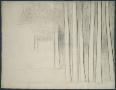 Tree Trunks (study for La Grande Jatte), 1884 (black conté crayon on ivory laid paper)