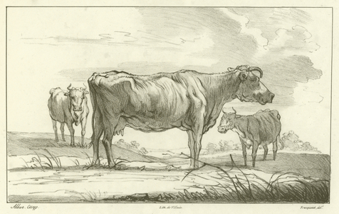 Three cows (engraving)