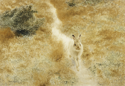 A Winter-Hare in a Landscape, 1909 (oil on canvas)
