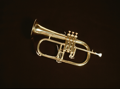 InstrumentsBrass FLUGELHORN by