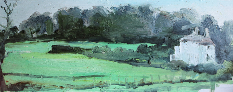 caldy house and hedge cropped,  (watercolour)