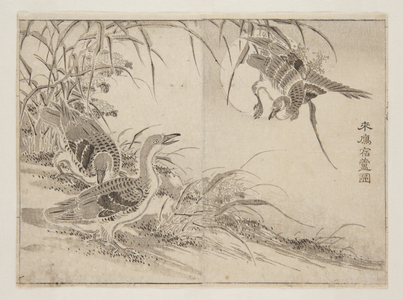 Geese living in Reeds (colour woodblock print)