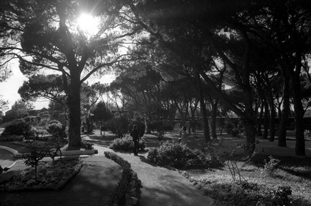 King Juan Carlos I of Spain with his wife Queen Sophia (both ESP) taking a walk..., 1976 (photo)