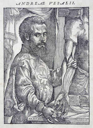 Andreae Vesalii