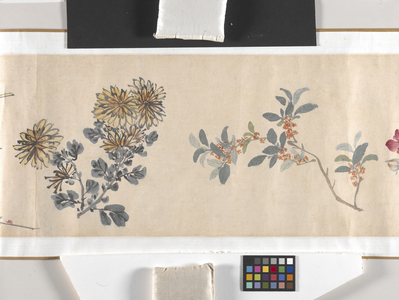 Coloured Flowers, 1602 (ink and colour on paper)