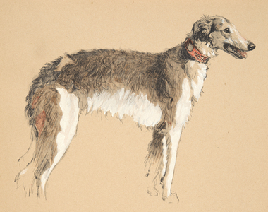 Borzoi, 1930, Illustrations from his Sketch Book used for 'Just Among Friends', later Published by Eyre and Spottiswoode Limited, 1934 (chalk and charcolal on paper)