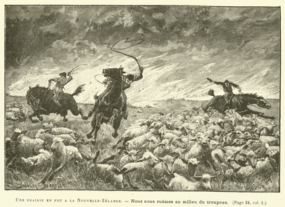 Une Prairie En Feu A La Nouvelle-Zelande (engraving)