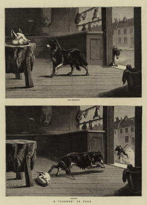 A "Corner" in Pork (engraving)
