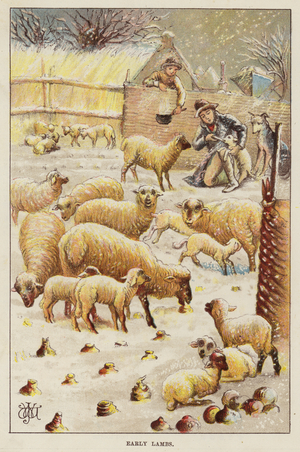 Early lambs in the snow (chromolitho)