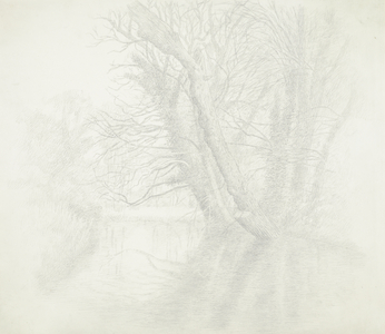 Trees and Water - Moat of the Manor, Hemingford Grey, 1971 (drawing)