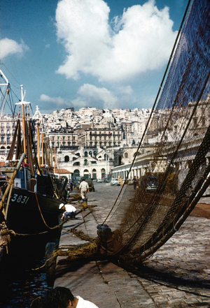 Harbour and Casbah, Algiers, Algeria, c. 1959 (photo)