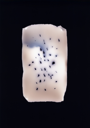 Untitled, 2001, (unique c-type photogram)
