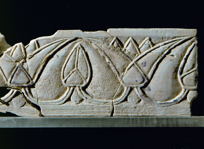 Lotus buds and blossoms (ivory)