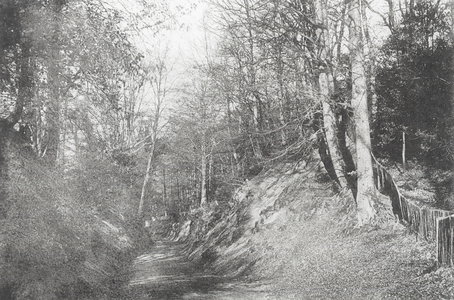Chart Lane, Dorking (b/w photo)