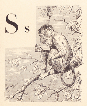 S for Monkey, 1901 (illustration)