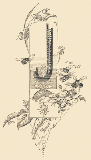 Capital letter J decorated with floral and insect motifs .,1880 (Illustration)