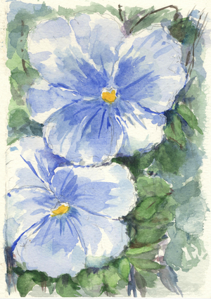 Pansy, 1990-2020 (watercolour)