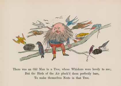 There was an Old Man in a Tree, whose Whiskers were lovely to see (coloured engraving)
