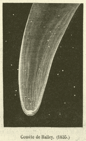 Comete de Halley, 1835 (engraving)