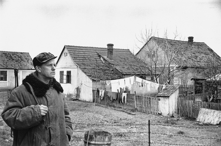 The machine tool factory Duro Dakovic in Slowenski Brod, Yugoslavia, 1952 (photo)
