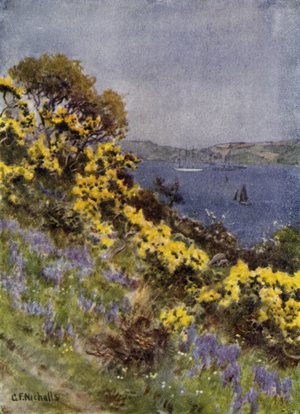 Image of Rock Roses, Old Lodge, Taplow, Berkshire, 1957 by Spencer