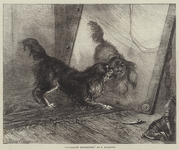 Unpleasant Reflections (engraving)