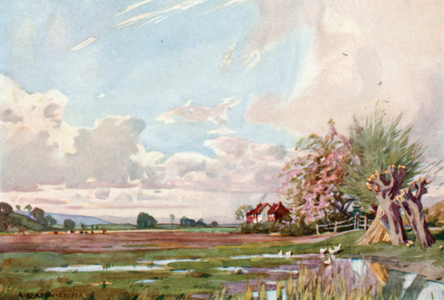 The Isle of Athelney (colour litho)