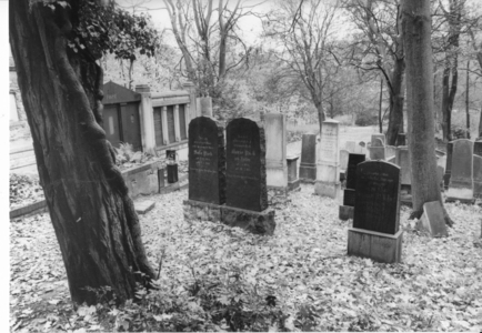 Potsdam, Germany, 1993 (photo)