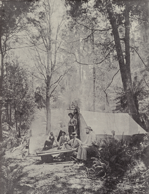A Bush Camp, Tasmania (b/w photo)