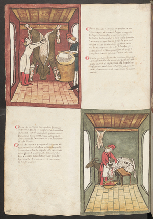 Full page: text and miniatures: " Carne grande nostrana ingrasata " (miniature)