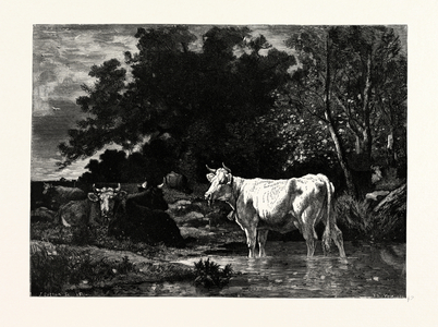 The Woodside Brook