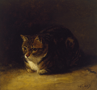 Study of a Cat, 1817 (oil on panel, mounted as a drawing)