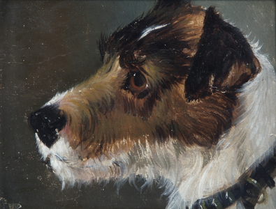 Head of a Rough-Haired Terrier (oil on canvas)