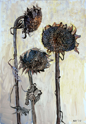 Three Dead Sunflowers