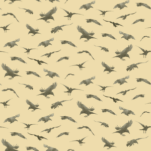 Crows pattern, 2021 (graphite pencil & digital)
