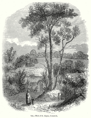 Well of St Keyne, Cornwall (engraving)