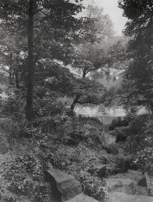 View of the Lake at Knowsley, Lancashire (b/w photo)