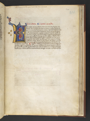 Egerton 2020 f.244r Decorated initial, from 'The Carrara Herbal', c.1390-1404 (ink, colour & gold on vellum)
