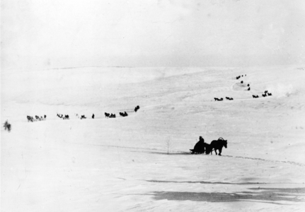 II. WK - Eastern Front - Winter, 1942 (photo)