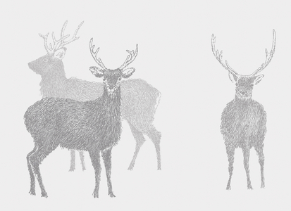 Sika Deer, 2017 (digital)