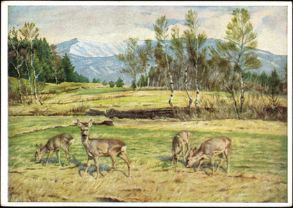 Artist Heinrich Schütz, spring evening in the foothills, deer