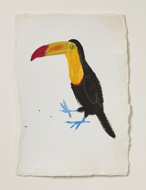 Toucan 1, 2016 (oil on paper)