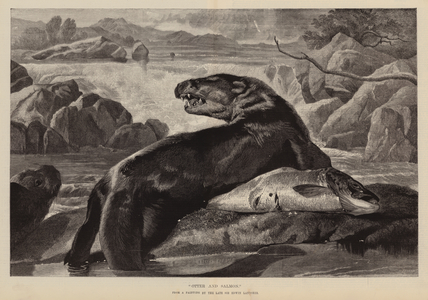 "Otter and Salmon" (engraving)