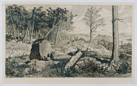 Mountain landscape, 1898 (engraving)
