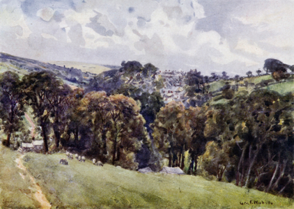 Camelford (colour litho)