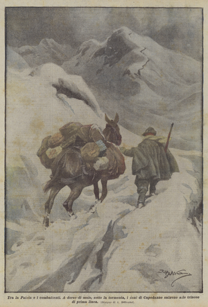 Between the Motherland and the Fighters (Colour Litho)