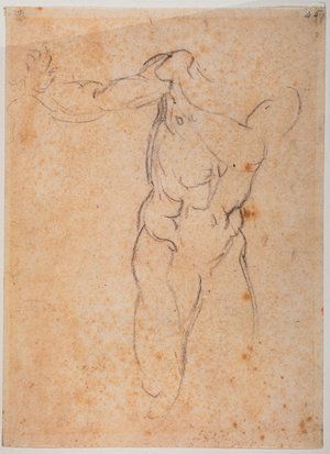 Study for the Adam of the 'Expulsion from Pardiso' in the Sistine Chapel, 1510 (drawing)