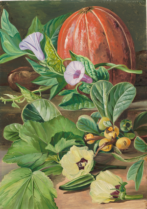 Some fruits and vegetables used in Brazil, 1872 (oil on board)