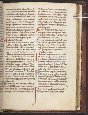 Arundel 377 f.66r 'Codex membranaceus' (ink on vellum)
